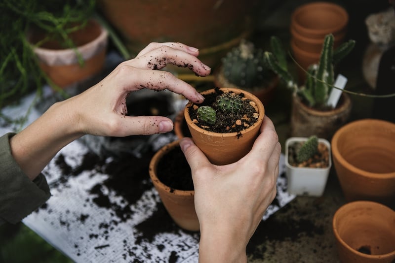 GreenThumb Solutions